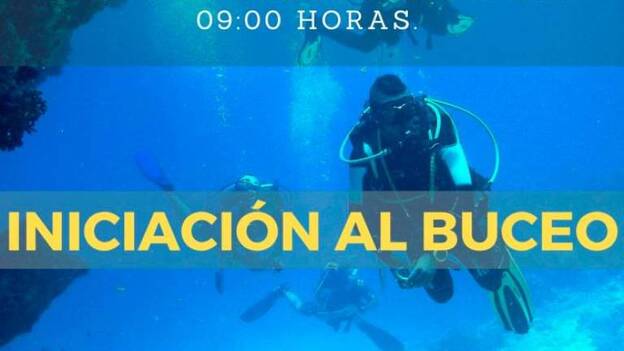 Actívate organiza un curso de buceo y otro de avistamiento de cetáceos