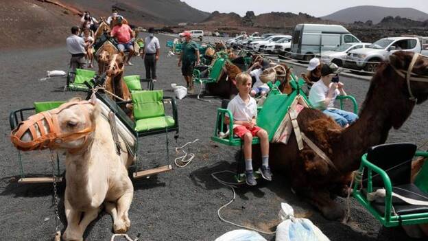 28 jorobados de paseo por Timanfaya