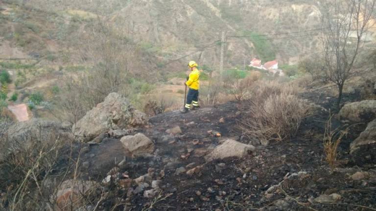 Controlado un conato de incendio que empezó de madrugada en Tejeda