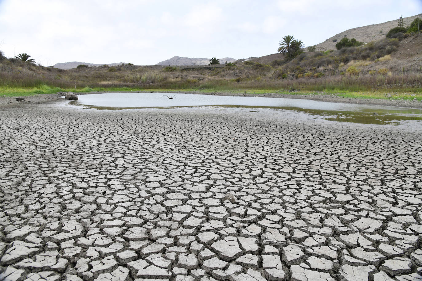 San Lorenzo se queda sin sus charcas