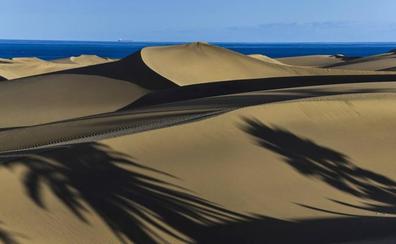 La recuperación de las dunas es solo estética