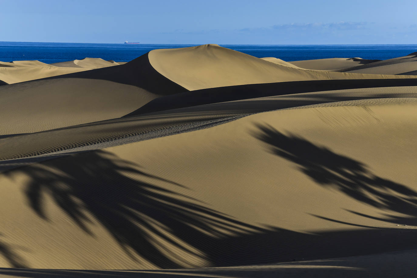 La recuperación de las dunas es solo estética