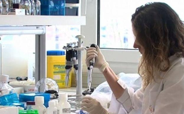 Los trece positivos de Tenerife se corresponden con dos brotes ya controlados