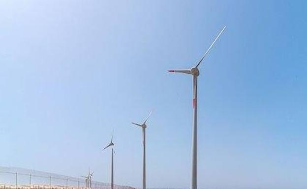 Imagen del parque eólico de La Caleta. 