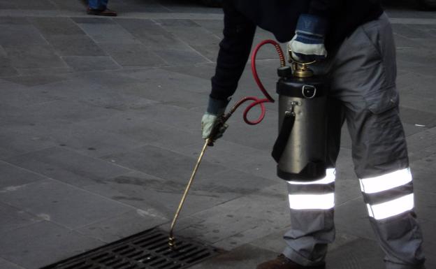 Salud Pública realiza una treintena de tratamientos y controles de plagas