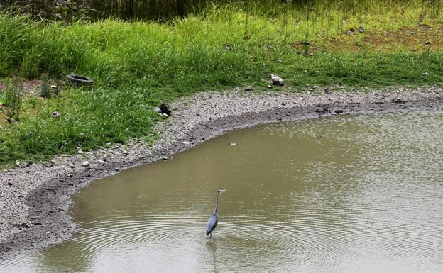 Agua depurada para llenar las charcas