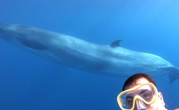 El hombre que susurra a las ballenas en Tasarte