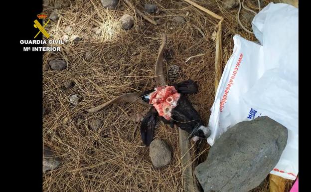 17 denuncias por colocar cebos envenenados en La Palma