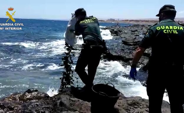 Denunciados por marisqueo ilegal en Fuerteventura