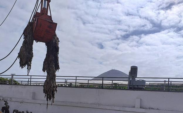 El Cabildo de Gran Canaria pide desechar las toallitas húmedas correctamente