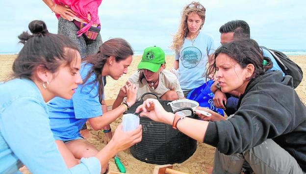 La isla apuesta por convertirse en laboratorio de alternativas a los plásticos de un solo uso