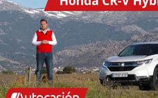 Honda CR-V híbrido: un 4x4 ecológico