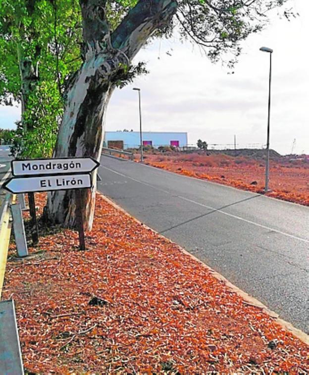El Cabildo acepta el solar donde irá una residencia con 90 plazas y otras 40 durante el día