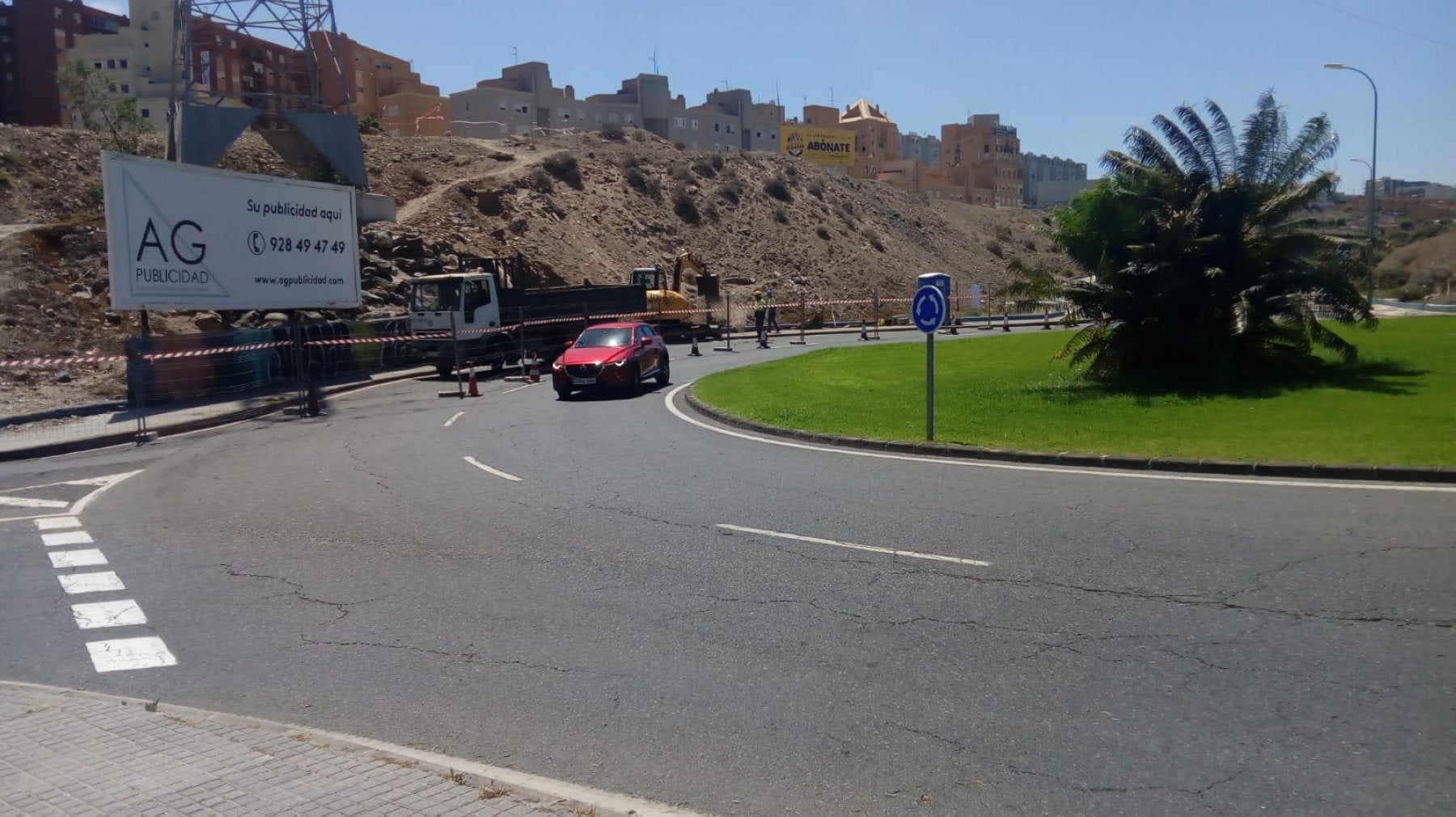 Reina Mercedes teme que unas obras afecten a una colonia de lagartos protegidos