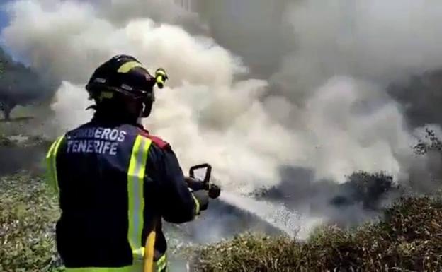 Extinguen un incendio en un descampado en Tacoronte