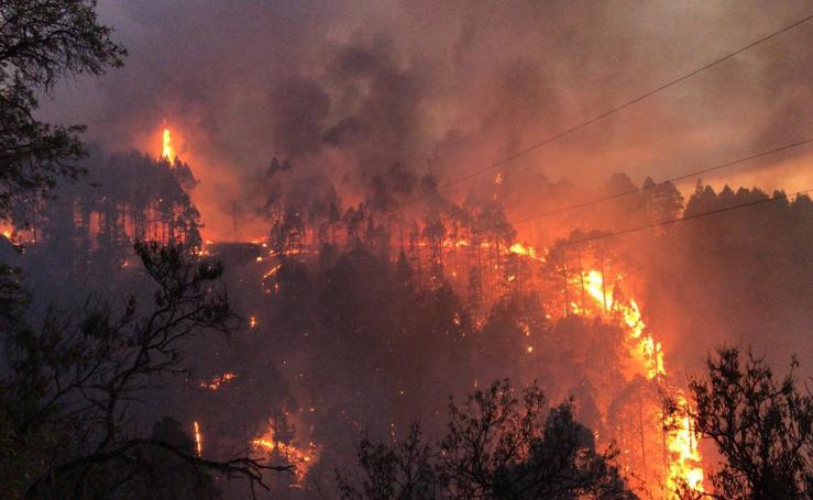 El incendio de La Palma, en imágenes