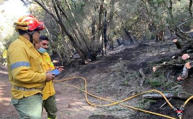 Estabilizado el incendio de Las Creces que afecta a 1,5 hectáreas del Parque Nacional de Garajonay