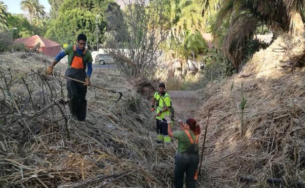 El Cabildo desbroza cañas y retira escombros en Tejeda