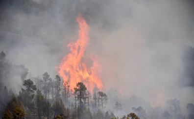 El Gobierno declara el nivel 2 en el incendio forestal de Tirajafe