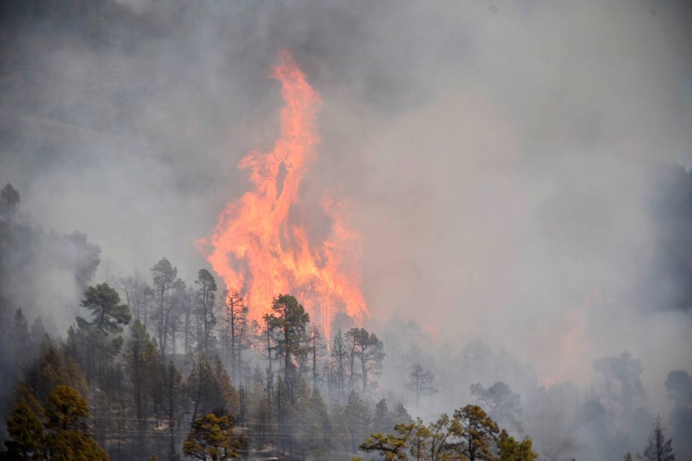 Declarado un conato de incendio en Tijarafe, La Palma