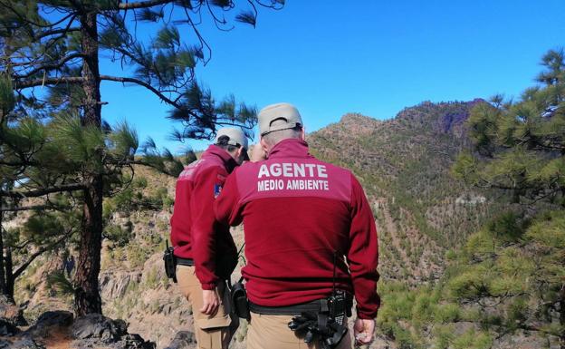 Medio centenar de denuncias el primer día de cacería en Gran Canaria