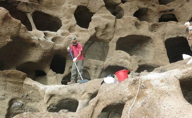 Halcones y ultrasonidos para ahuyentar a las palomas del Cenobio de Valerón