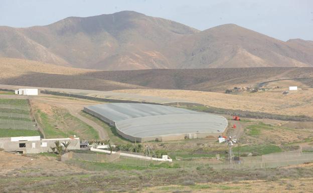 Canarias sustituirá el plástico de invernaderos por tecnología limpia