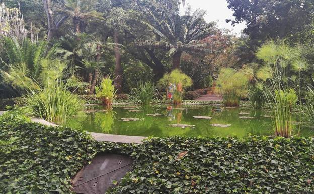 Se busca la mejor foto del Jardín Botánico