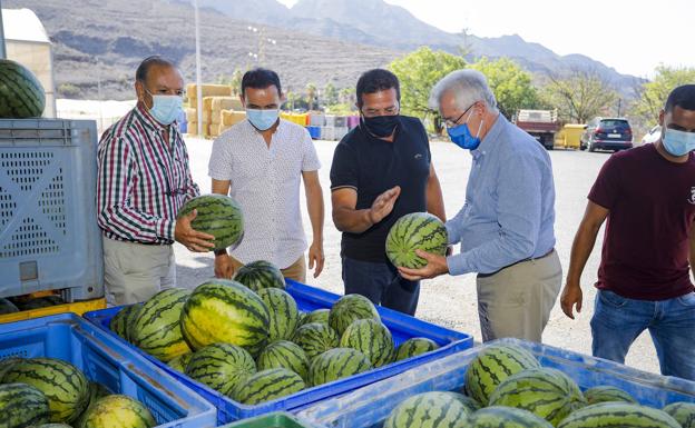 La cooperativa de Tasarte y Spar se alían para dar salida a sus sandías y papayos