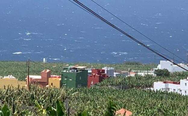 Activado el Plan de Emergencias por vientos de hasta 120 kilómetros por hora