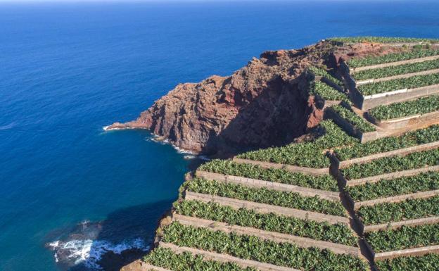 Los productores de plátano califican de «varapalo para España» que la UE siga sin resolver el futuro del POSEI