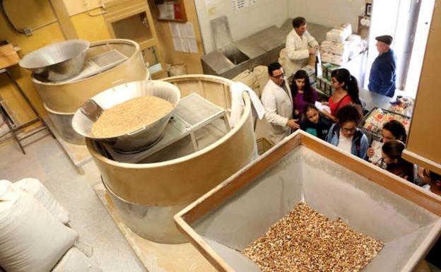 Vanoostende resalta la importancia de recuperar el gofio