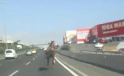 Un caballo al galope por la autopista