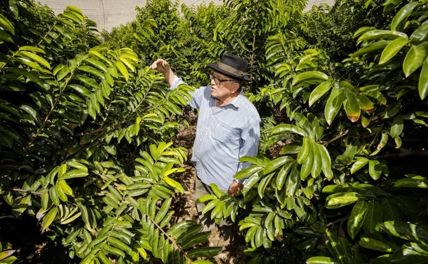 Tasarte al punto, con Peña y Tamara