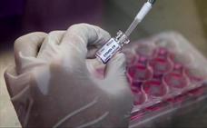 Investigadores británicos encuentran inmunidad al virus seis meses después