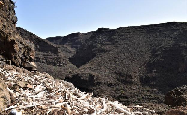 Los aborígenes gestionaban la muerte de sus finados a través de tres paisajes funerarios