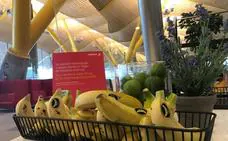 Plátanos de 'altos vuelos', rumbo a la Gran Manzana