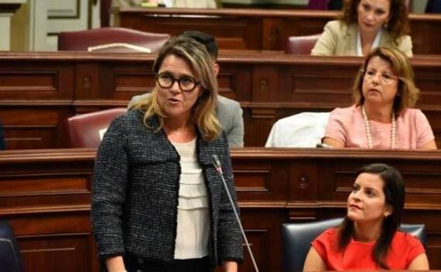 Los grupos critican la incertidumbre de la exportación canaria ante el Brexit