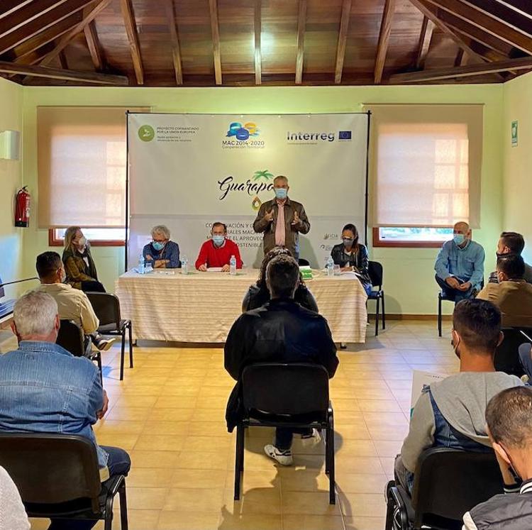 El proyecto 'Guarapo' potenciará el aprovechamiento sostenible de las palmeras