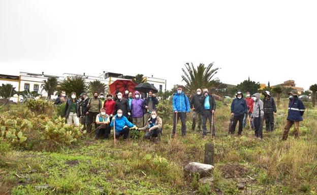 El cambio climático, los incendios y las especies asilvestradas, amenazas para la laurisilva canaria