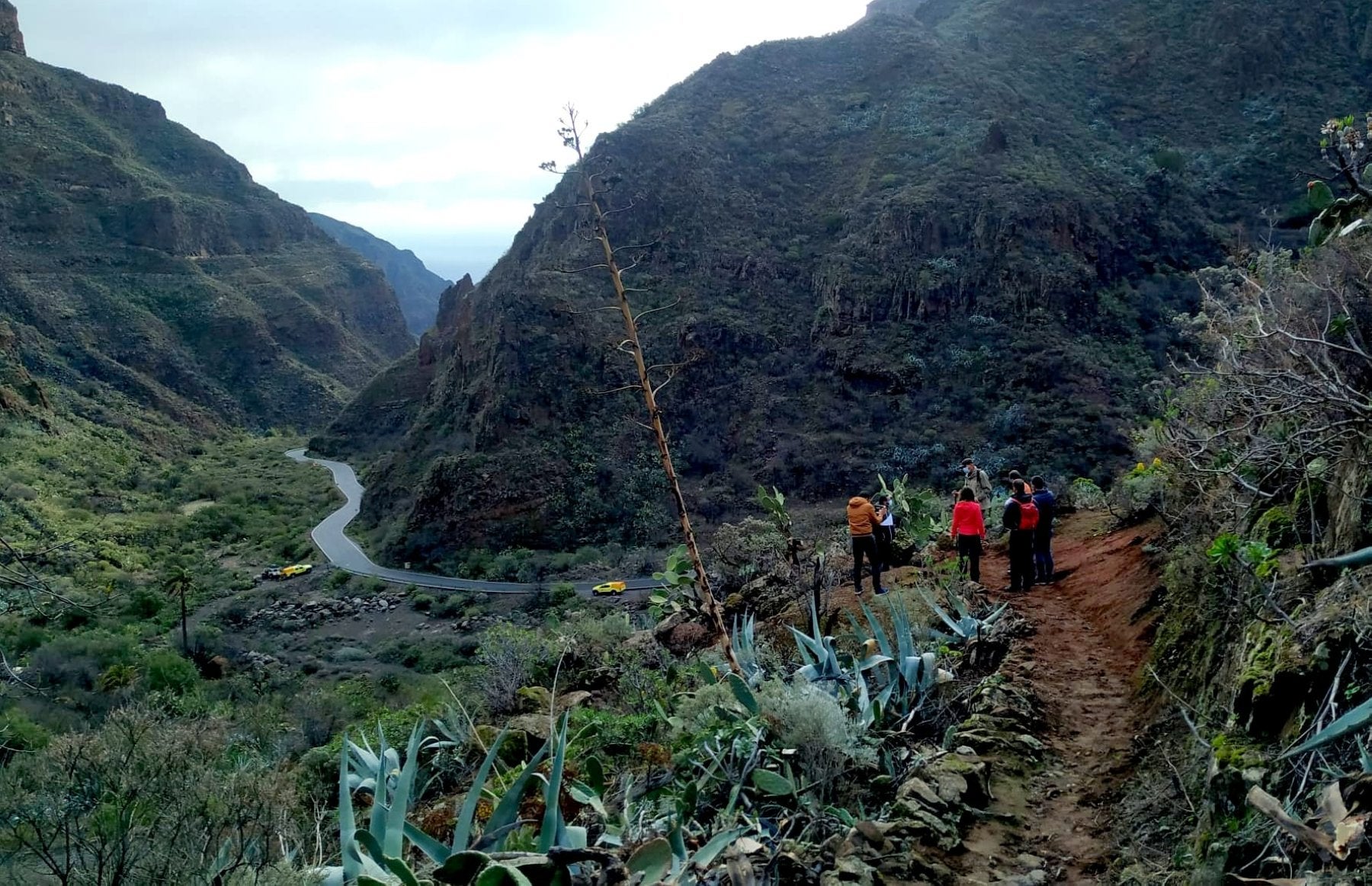 Cabildo y Agüimes arreglan el antiguo camino de Las Bestias en Guayadeque