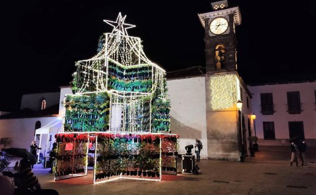 Jardín vertical con forma de árbol de Navidad en San Juan de la Rambla