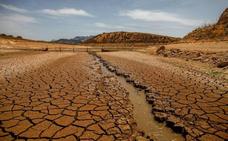 «Hay países sin recursos que asumen más responsabilidad climática que España»