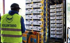 Plátano de Canarias contribuye con 330.000 kgs a la Gran Recogida de los Bancos de Alimentos