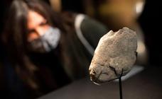 Hallado en Tarragona un valioso «animalario» grabado en piedra de 13.000 años