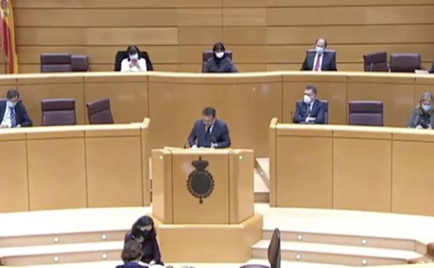 Asier Antona pide una respuesta «urgente y adecuada» a la crisis migratoria