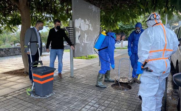 El Ayuntamiento aumenta el control de plagas en el Cono Sur