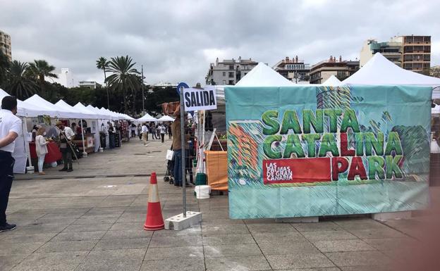 Santa Catalina se viste de Navidad