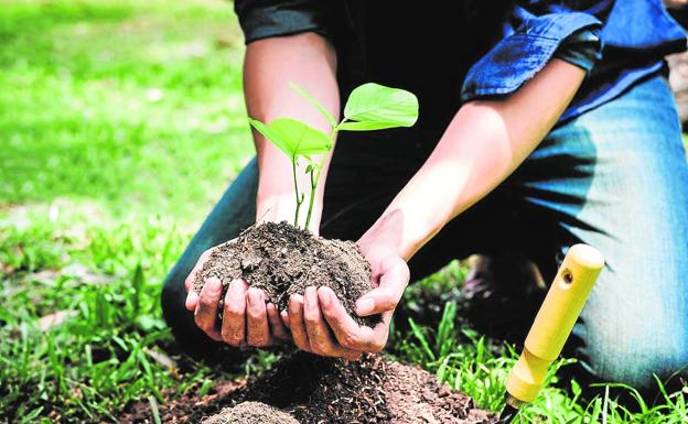 Un regalo original. Y además ecológico