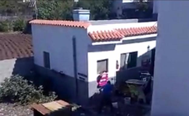 Ordenan repetir el juicio contra el acusado de matar a la perra Tigrilla